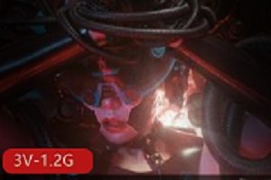 我喵小吉就是最可爱的人,没有之一!