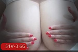 大罩杯是坦克,爱丽斯是专车,专车服务大罩杯。