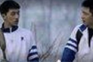 鬼娃回魂系列电影：5部全普通话国语配音版1080p高清视频资源