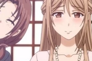 相亲问题生：彗星社12集自压视频，53min，去片头片尾，内嵌中文，7z文件，百度云资源，解压密码