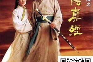经典武侠片：《九阴真经-姜大卫、张智霖(1993)》，阿里云盘上提供HD1080P高清视频，支持倍速播放，让观众可以看到原画的细节