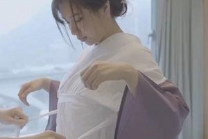 樱花花瓣：爱的馈赠