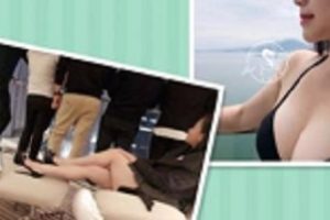 X欲御姐·米奇宝宝系列P站网红反差婊俱乐部94V1.1G玩法