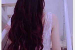 91网红多乙精品合集：长发飘飘的已婚少女、自卑男和小哥哥，微博上的蚌壳吸力（1.2G）