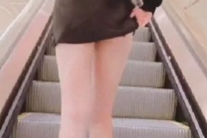 韓國小狗金志昤11V441MBUSB充电宝