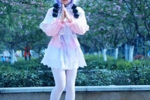 B站宅舞露底裤 232v22g