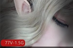 推特妖艳超人气网红九狐仙李婉婷合集1.5G，清纯与骚动并存