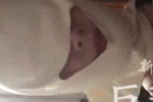 快手大罩杯列传全集88V120G，新世界走遍中国