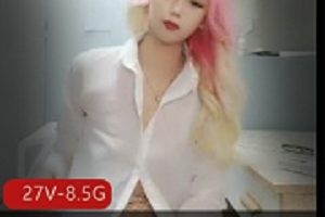 美女合集平台上官宝贝全部合集27V8.5G，标准福利姬自拍资源