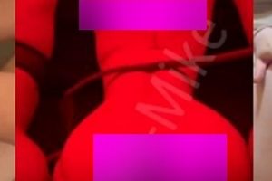 训犬实录Mike山峰学员多人教学35V/1.83G劲爆版