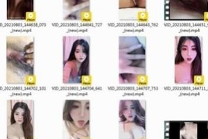 抖音金鑫蔓笙私人订制作品合集21部1.98G太社保了