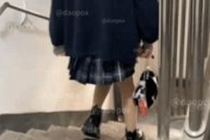 抖音元歌恋爱日记搭讪教学13部420M优质