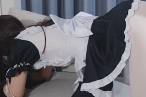 内部九尾少女顶级艺术教学57部35.1G