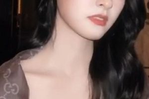 抖音小红书网红明星合集110部560M太给力了